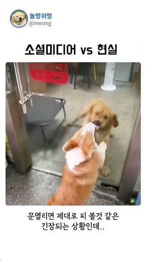 소셜미디어vs현실