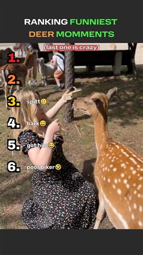 RANKING FUNNIES DEER MOMMENTS, THE LAST ONE WILL MAKES YOU LAUGH HARD !! #viral #funny #trending