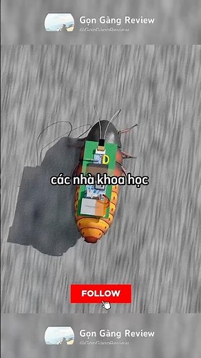 This cockroach can save your life — listen and you will understand😳