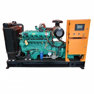 [Hot Item] 300kw375kVA Biomass Generator Gasification Power Generator with Cogeneration