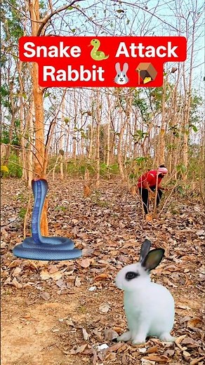 Rabbit vs Snake Attack 🐇🐍 | Dangerous Jungle Battle Caught on Camera #wildlife #birds #trending #yt
