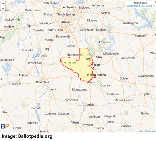 Live Results: Georgia State Senate Special Election Runoff - 270toWin