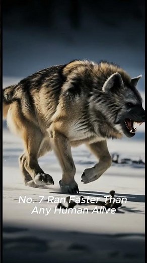 Top 10 Scariest Creatures of the Ice Age – More Dangerous Than Dinosaurs (You’d Never Survive #3)