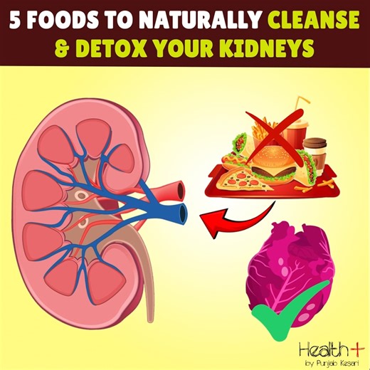 5 Foods To Naturally Cleanse & Detox Your Kidneys | Health