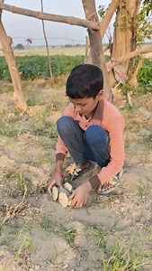 Garib Bacche Ke Mila Jamin Ke Andar Remote Control Car || f Rc Fortuner #shorts #diy #experiment | MK hacker