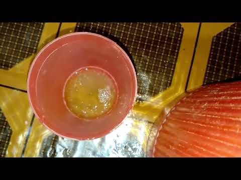 DNA extraction of cheek cell at Home