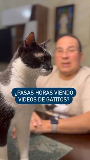 Dr. Pedro Lovaglio | Cardiólogo Intervencionista | Y a ti, ¿te gustan los gatos? 🤔🐱 • • #drpedrolovaglio #cardiosagradafamilia #gatos #cardiologo #hiroshimauniversity #parati | Instagram