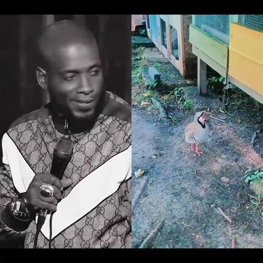 Houston's Hood Dialect