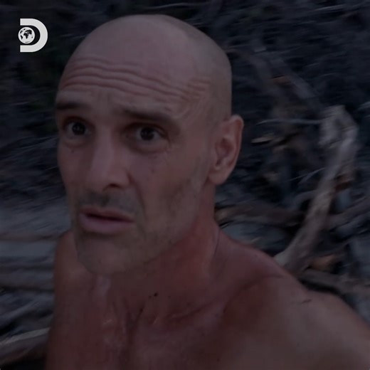1.3M views · 27K reactions | Finding water, foraging for fruit & catching fish! Ed Stafford takes survival to a whole new level in the face of Colombia’s wildfires  #Marooned | Discovery Channel UK | Facebook