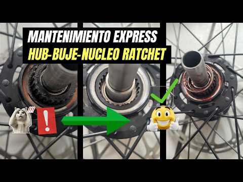Your Bike's Rear Hub Needs This! Koozer 350 Ratchet System Service