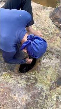 The process of finding gold | finding gold in bedrock fragments | finding gold nuggets