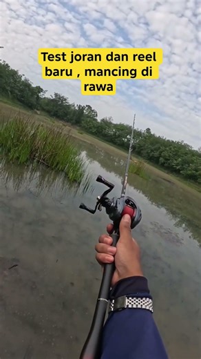 joran dan reel baru test mancing di rawa , fishingin river
