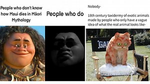 27 History Memes For A Look Back On The Past