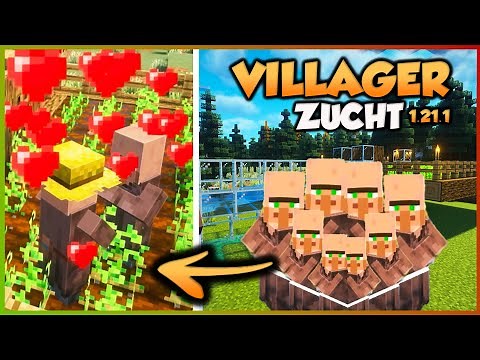 Der BESTE Villager Breeder 1.21.1? Java Edition - EINFACH und SCHNELL 🌱 MINECRAFT GUIDE