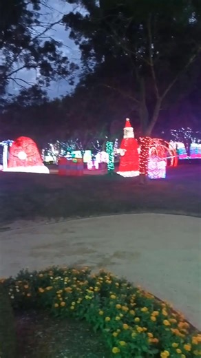 Debra Jeffery Wright on Reels