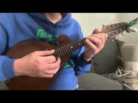 1920s Regal Reverse Scroll Mandolin, X braced, neck reset!