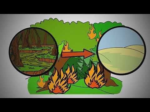 Geography of the Maya in Mexico, Mayan Empire Daily Life, Map Activity & Game Instructomania