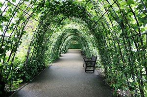 High Tunnel Garden Ideas | How To Extend Your Growing Season