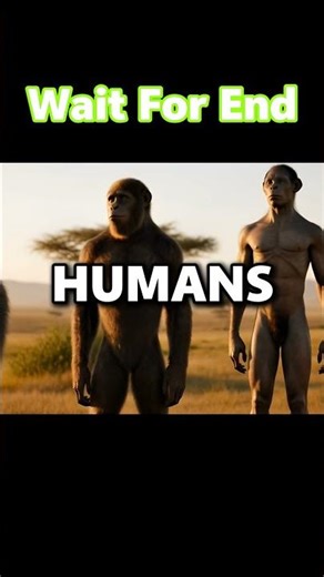 How Life Began | Humans Evolved From Primates