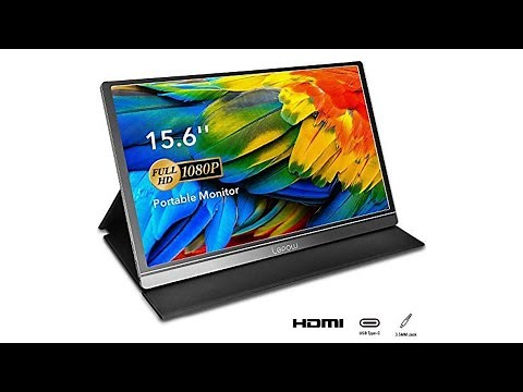 Lepow 15.6 inch 1080p Type C Monitor!