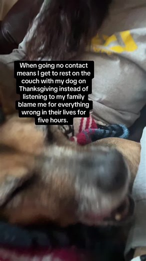 I’ve always wondered what it’s like to be with family that loves you on #Thanksgiving … I’ll stay #nocontact thanks 😬