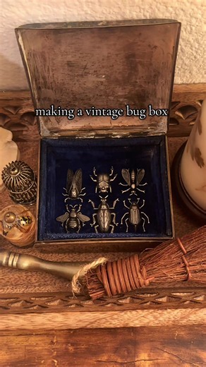 Antique Box Makeover: Coraline-Inspired Bug Decor
