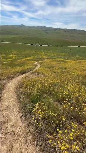 Carrizo Plain National Monument