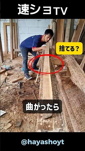 Like magic...the crooked tree becomes straight!