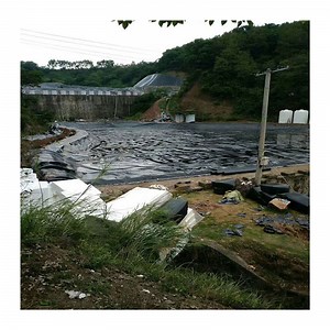 [Hot Item] High Strength Long-Lasting Environmental HDPE Geomembrane Impermeable Plastic for for Aquaculture/Landfill /Dam /Fish Farming