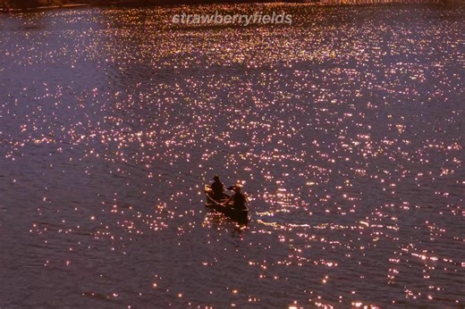 Elton John - Rocket Man | 𝐬𝐭𝐫𝐚𝐰𝐛𝐞𝐫𝐫𝐲𝐟𝐢𝐞𝐥𝐝𝐬