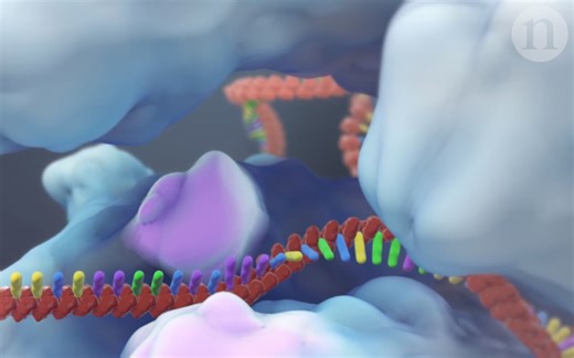 CRISPR-基因编辑 Gene editing and beyond