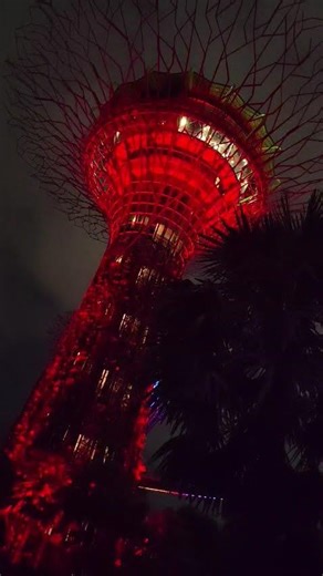 12.4.25...Super Tree Light show of Singapore.