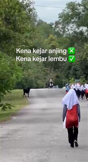 Lama aku simpan video ni 😅 #fyp #capcut #lembu #foryoupage #tiktokviral