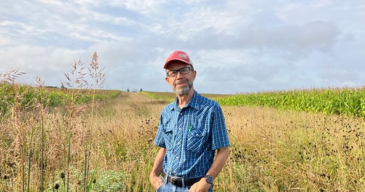 Prairie home companions: Why more farmers are planting native landscapes in their crop fields