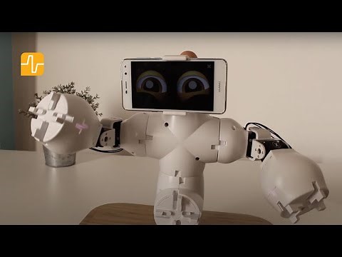 How to build a simple Social Robot