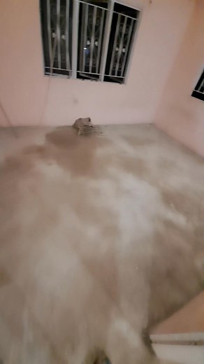 2.7K views · 12 reactions | FOR ALL YOUR TILING & TILE REMOVAL NEEDS...