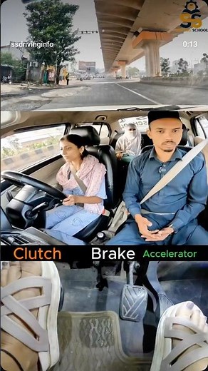 Professional driving school