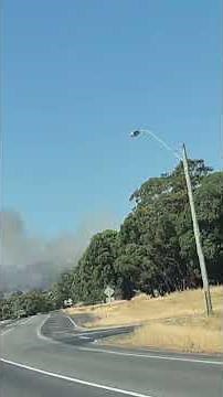 Bushfire summer