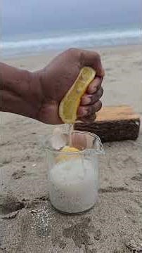 How to Make Fertilizer from Eggshells #plants #garden #agriculture