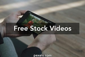Free Thanks For Watching Video Videos