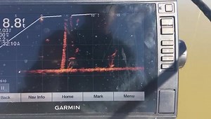 51K views · 419 reactions | LiveScope is awesome | Josh Jones Fishing | Facebook