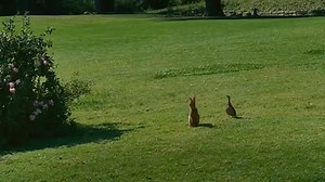 Гарфилд 2 / Garfield: A Tail of Two Kitties (2006)