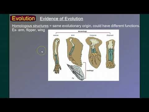 Evolution Part 1: Introduction and Evidence