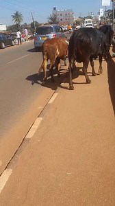 3.4K views · 139 reactions | To whoever it may concern | Jenifer Full Figure | Facebook