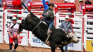 Calgary Stampede Rodeo Day 4