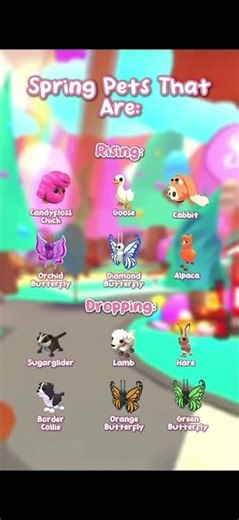 I actually love the candyfloss chick #adoptme #roblox #trademe #trade #cute #adoptmeroblox ￼