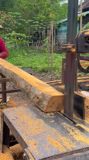 Gemoy Operator is skilled!! Wood cutting skills with a super sharp saw machine #serkelsaw #teak