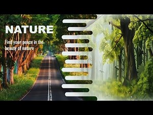 Ppt 43 Make Your PPT Stand Out with Stunning Animation Effects| Powerpoint Tutorial | Creative Ppt