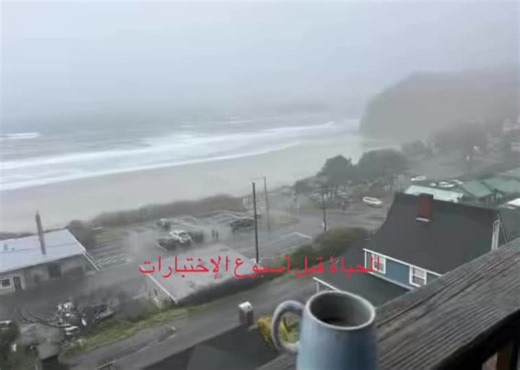 اختبار مشغل حافلات MTA: كل ما تحتاج معرفته