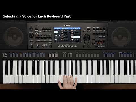 PSR-SX920/SX720- How To Select Voices and Set Split Points